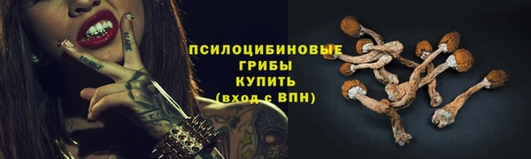 PSILOCYBIN Баксан