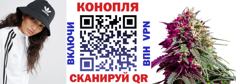 shop как зайти  блэк спрут маркетплейс  Валдай  Конопля марихуана 
